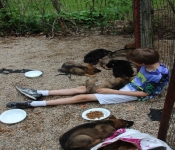 LindseyGradParty 033